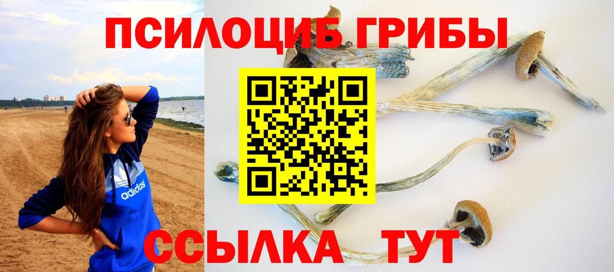 Галлюциногенные грибы мухоморы Полысаево