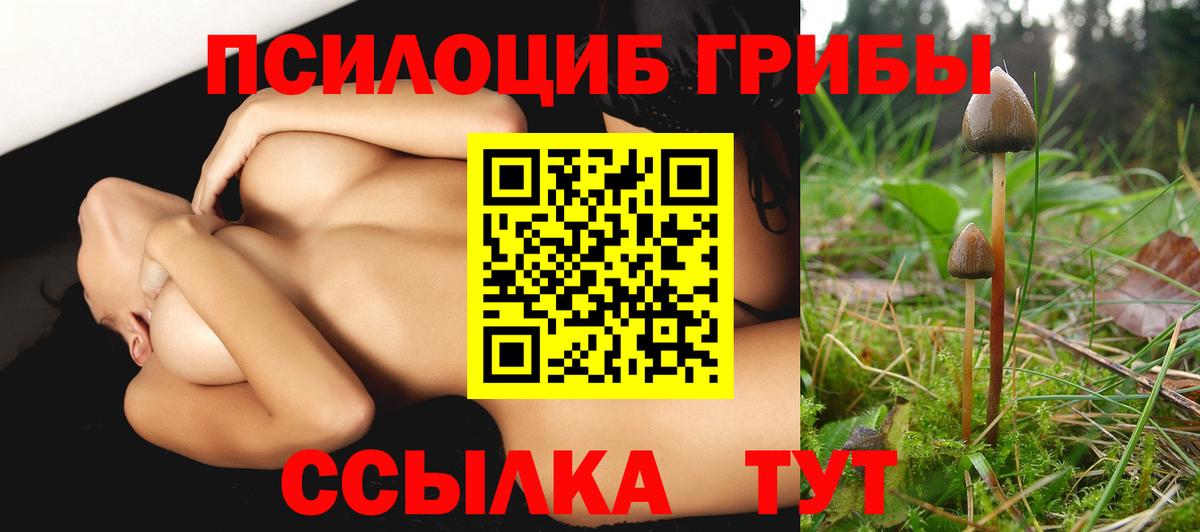 Псилоцибиновые грибы прущие грибы  Вход с VPN  Полысаево 